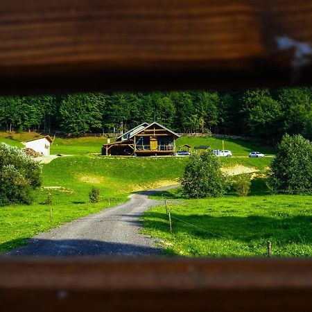 Valley House Cabana Cu Priveliste De Vis Sita Buzăului المظهر الخارجي الصورة
