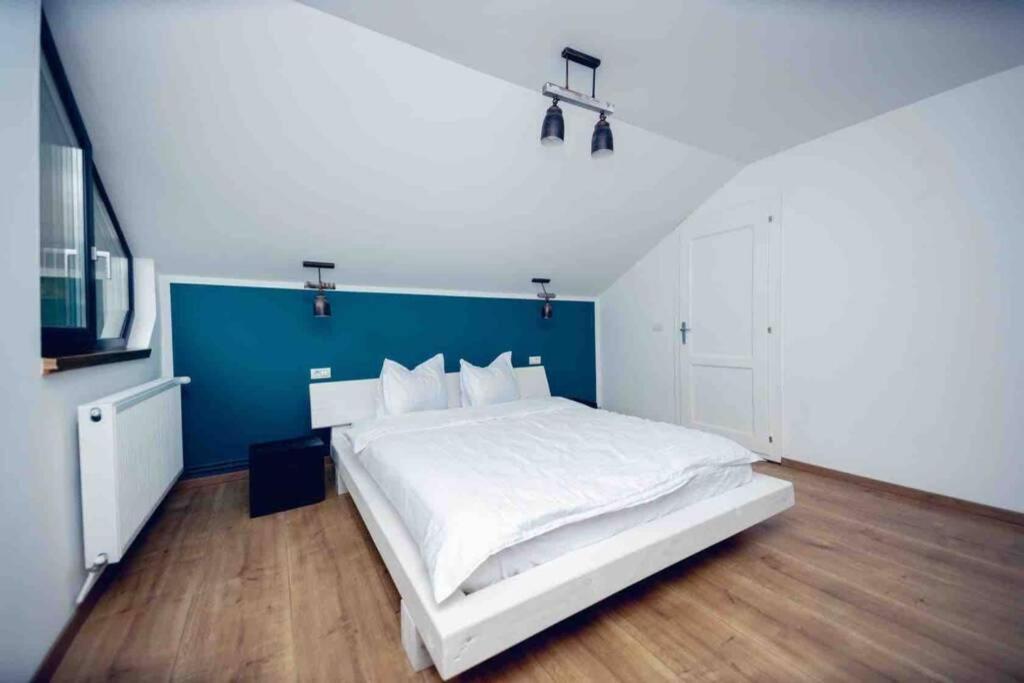 Valley House Cabana Cu Priveliste De Vis Sita Buzăului المظهر الخارجي الصورة
