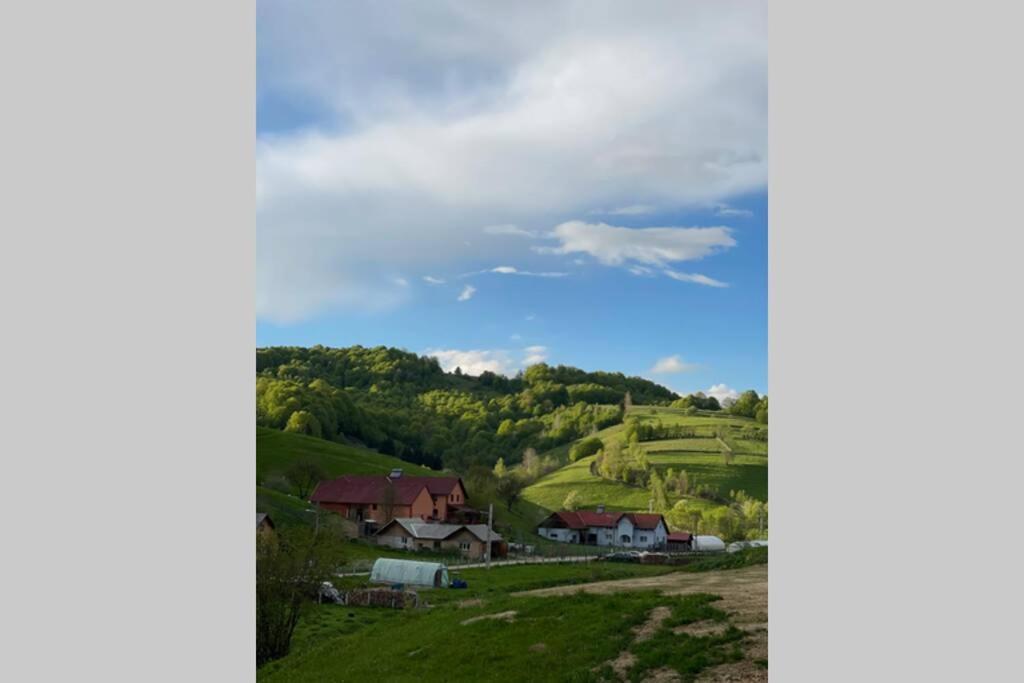 Valley House Cabana Cu Priveliste De Vis Sita Buzăului المظهر الخارجي الصورة