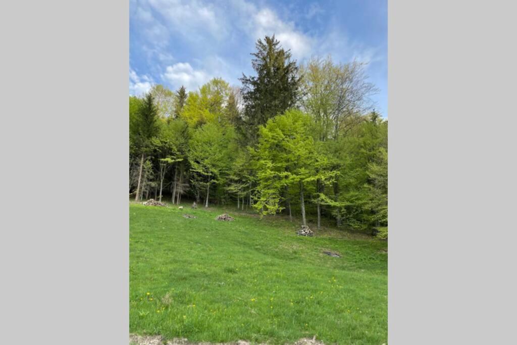 Valley House Cabana Cu Priveliste De Vis Sita Buzăului المظهر الخارجي الصورة
