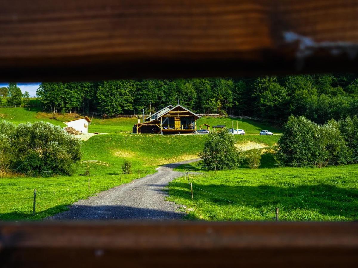 Valley House Cabana Cu Priveliste De Vis Sita Buzăului المظهر الخارجي الصورة